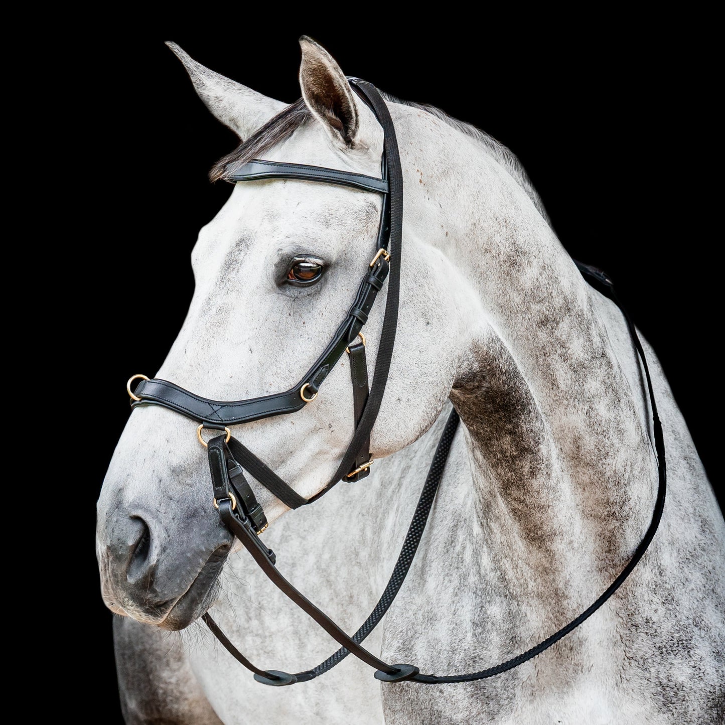 Horseware Ireland Micklem2 Multibridle USA with Reins