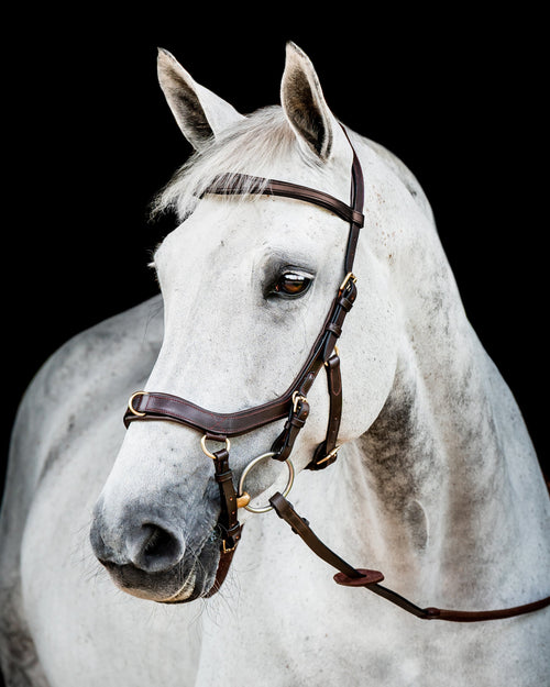 Horseware Ireland Micklem2 Multibridle USA with Reins