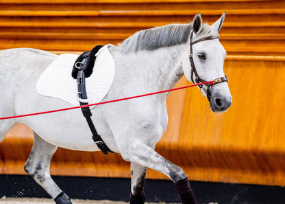 Horseware Ireland Micklem2 Multibridle USA with Reins