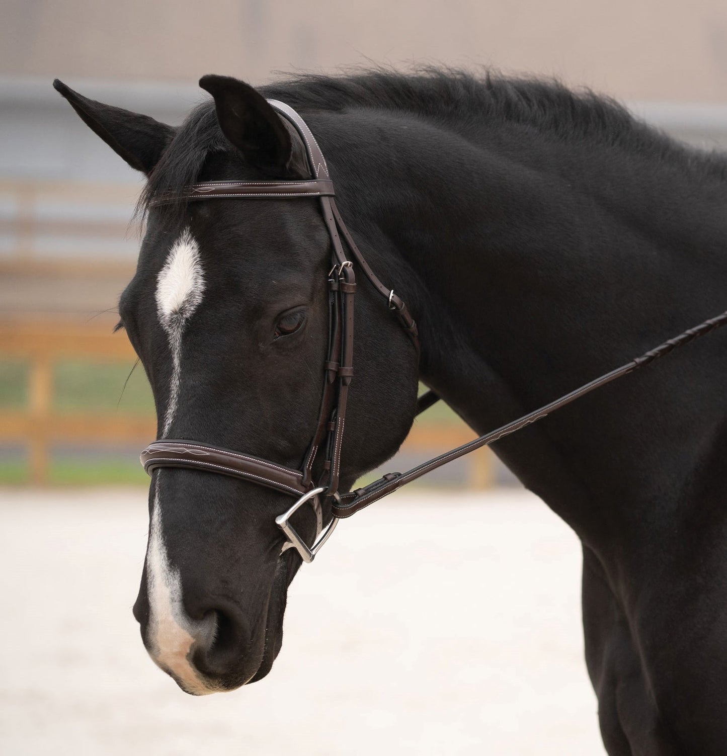 Black Oak Cypress Hunter Bridle