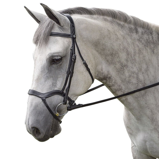 Marcel Toulouse Hybrid Dressage Bridle