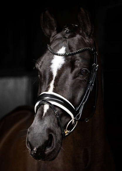 LeMieux Kudos Patent Leather Dressage Bridle