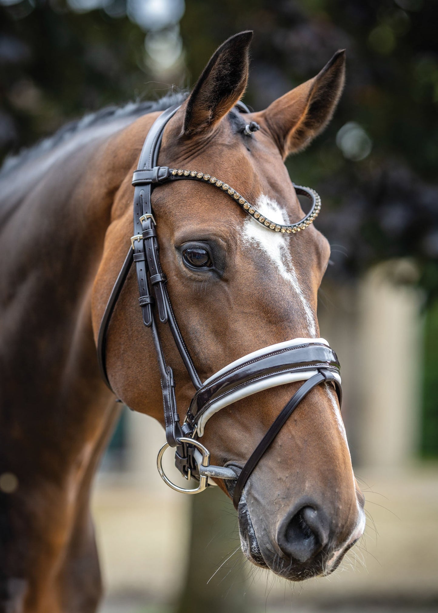 LeMieux Kudos Patent Leather Dressage Bridle