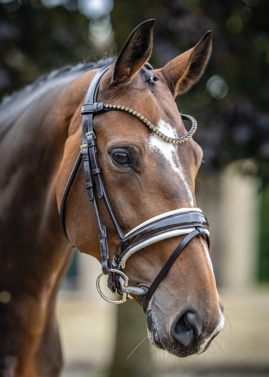 LeMieux Kudos Patent Leather Dressage Bridle