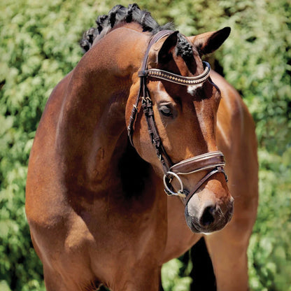Halter Ego Catalonia Snaffle Bridle