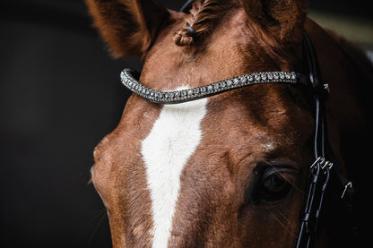 Schockemöhle Malaga Bridle