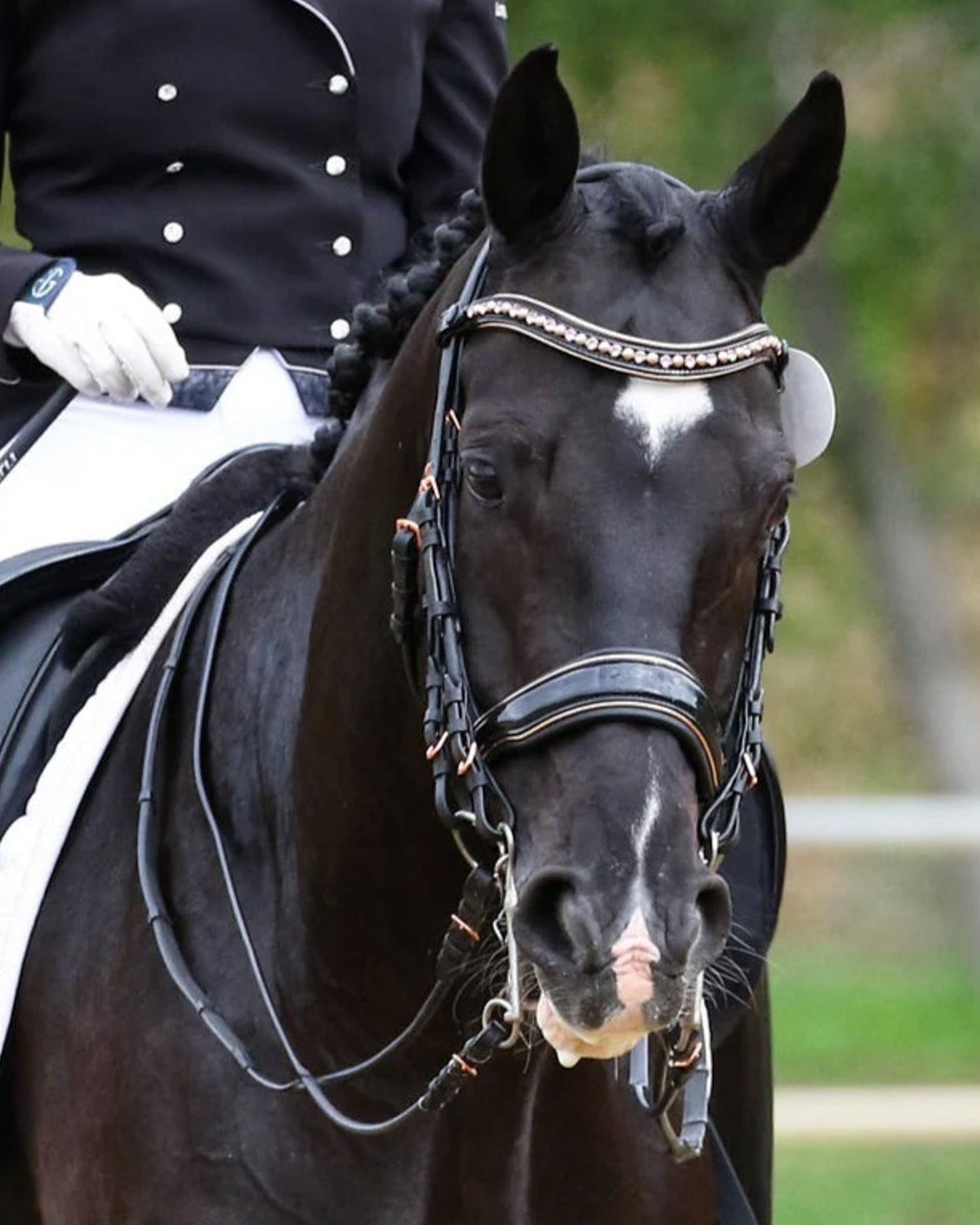 Halter Ego Aurelia Rose Gold Black Patent Double Bridle