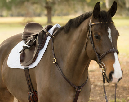 Circuit Premier Monoflap Event Saddle