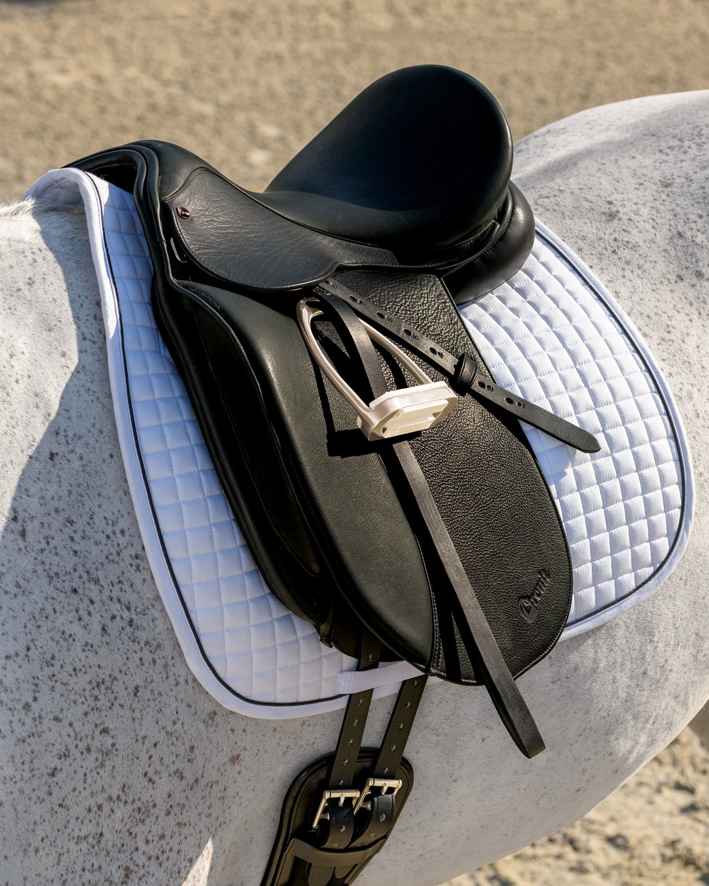 Circuit Premier Dressage Saddle