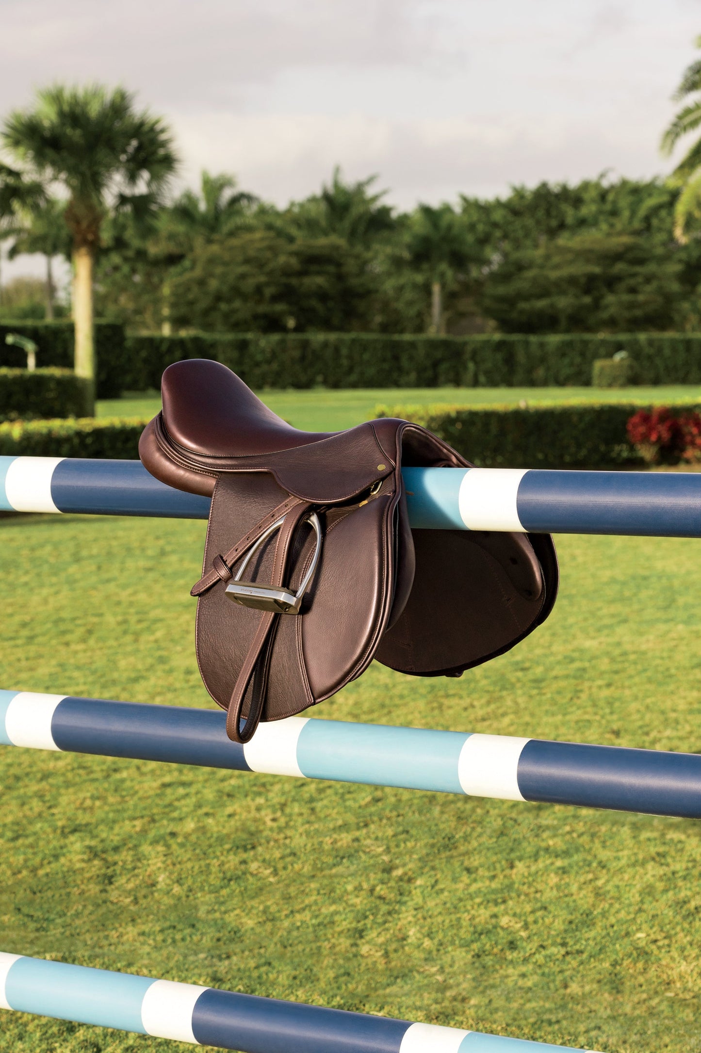 Circuit Debut Saddle