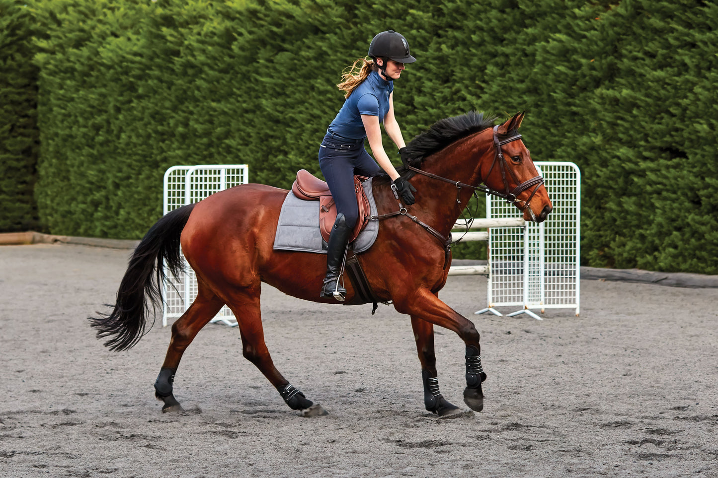 Collegiate Honour Close Contact Saddle