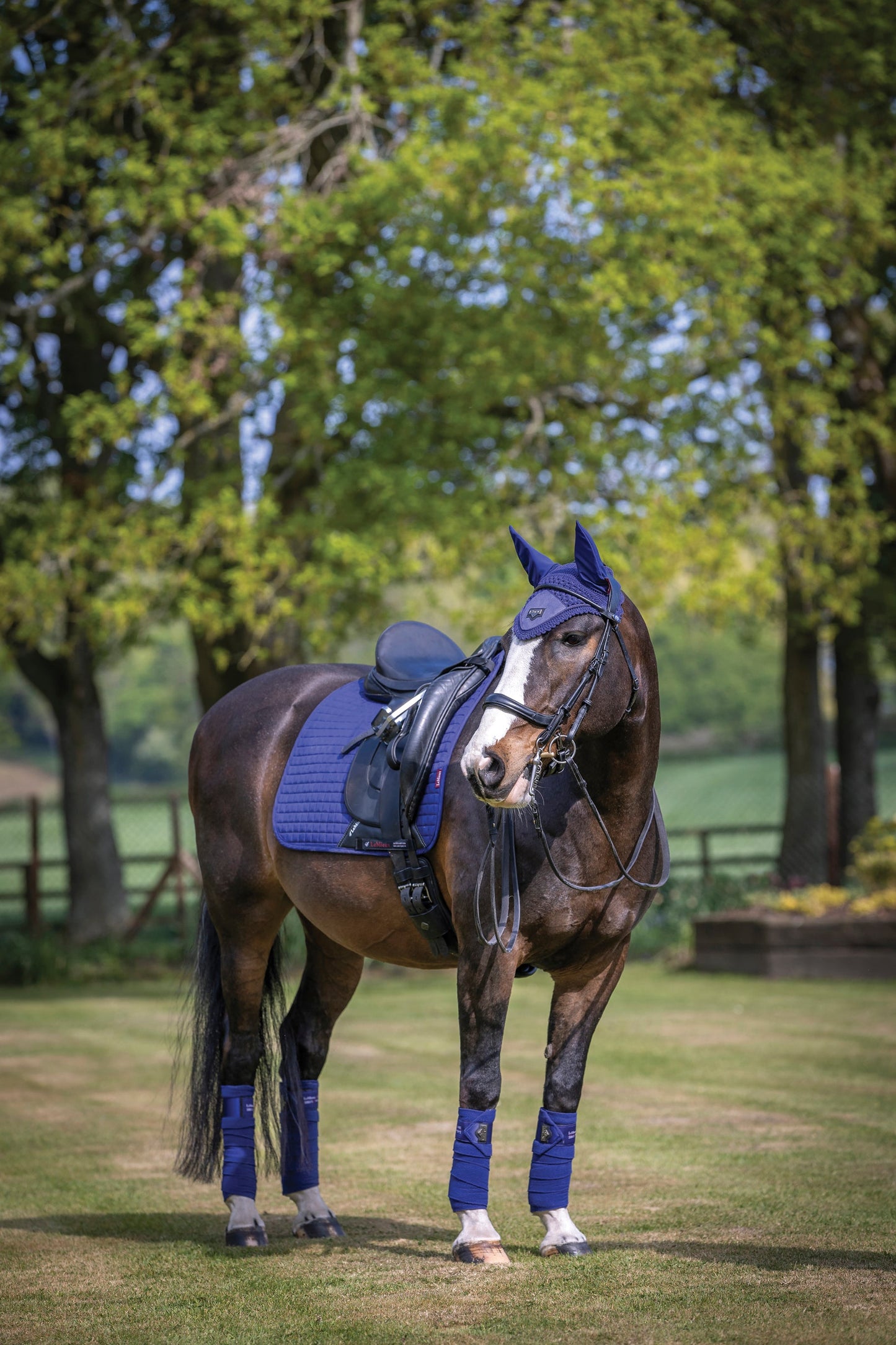 LeMieux Suede Dressage Square Pad