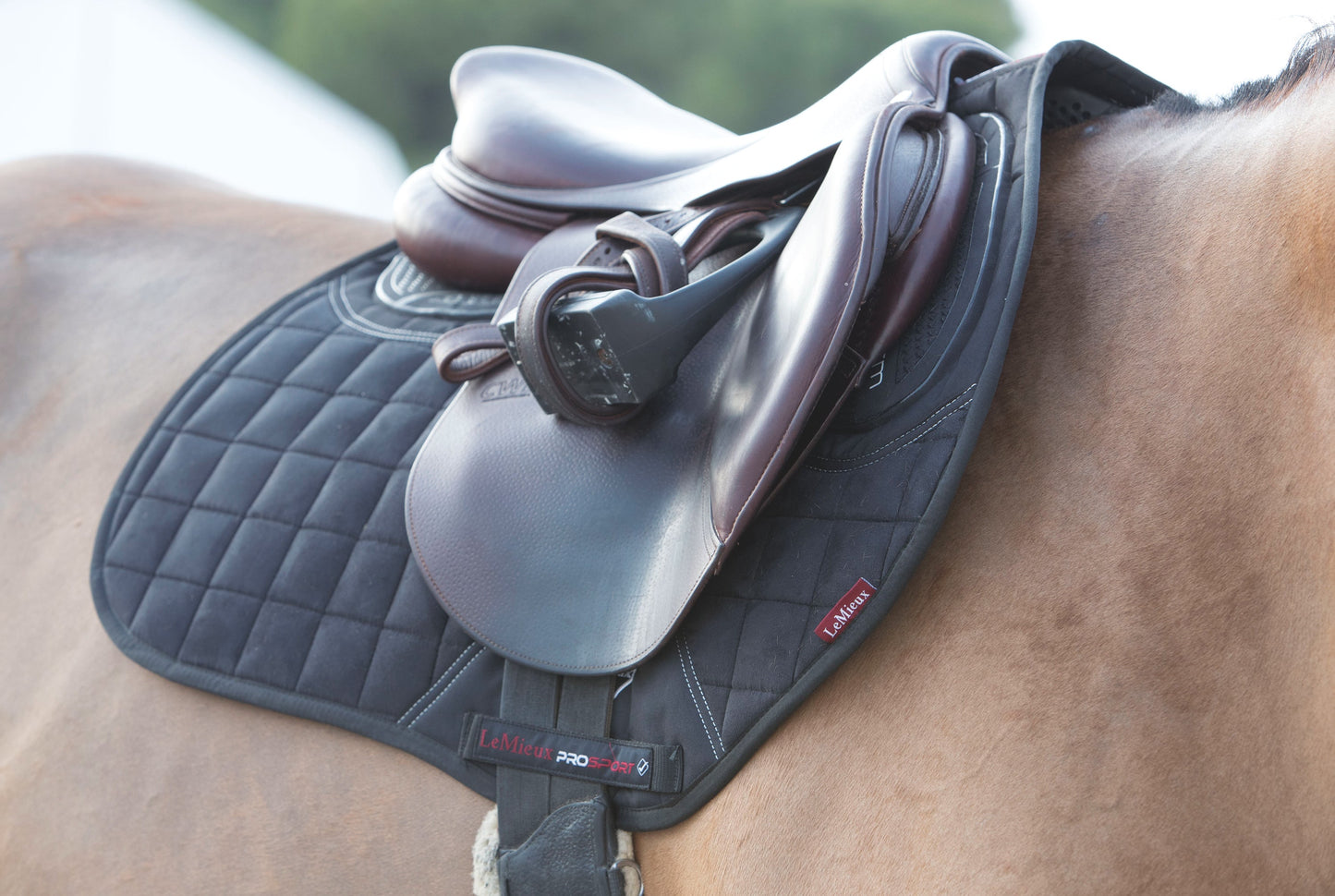 LeMieux X-Grip EuroJump Square Pad