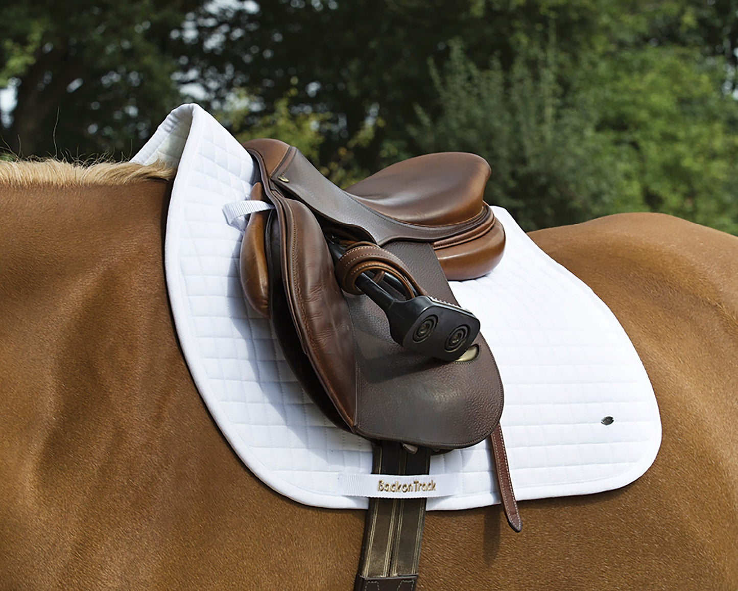 Back on Track All-Purpose Saddle Pad