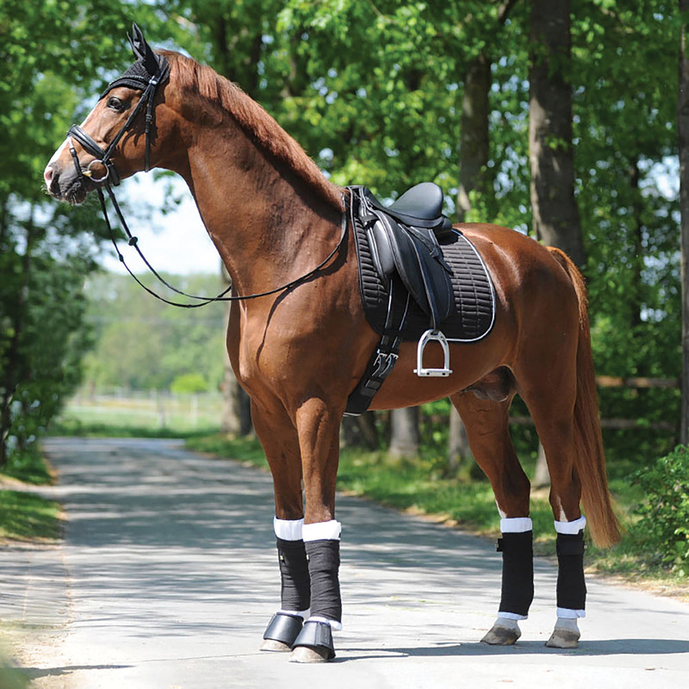 Kavalkade KavalEasy Rhinestone Dressage Pad