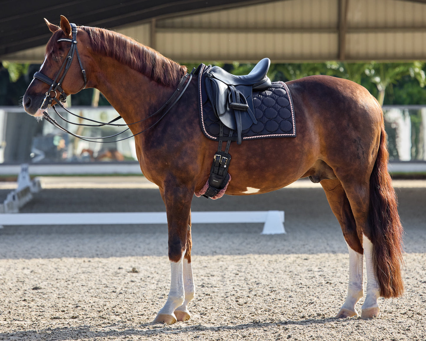 Rider’s International Luxury Dressage Pad