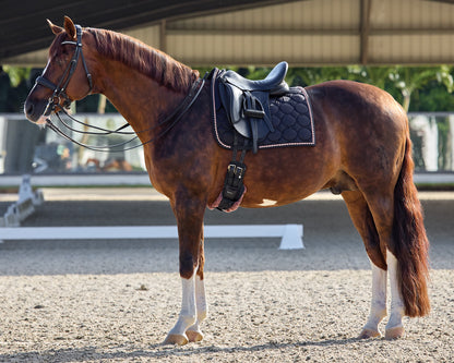 Rider’s International Luxury Dressage Pad