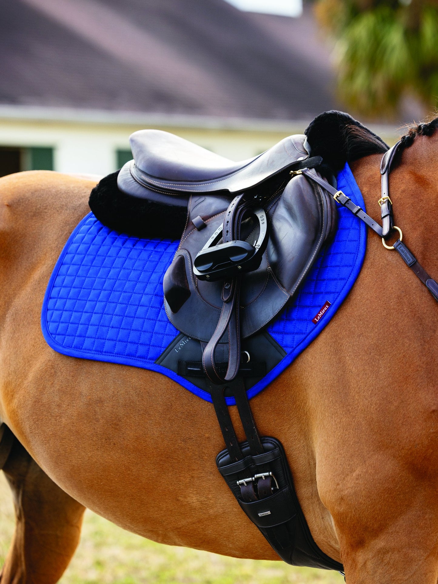 LeMieux Suede Close Contact Saddle Pad