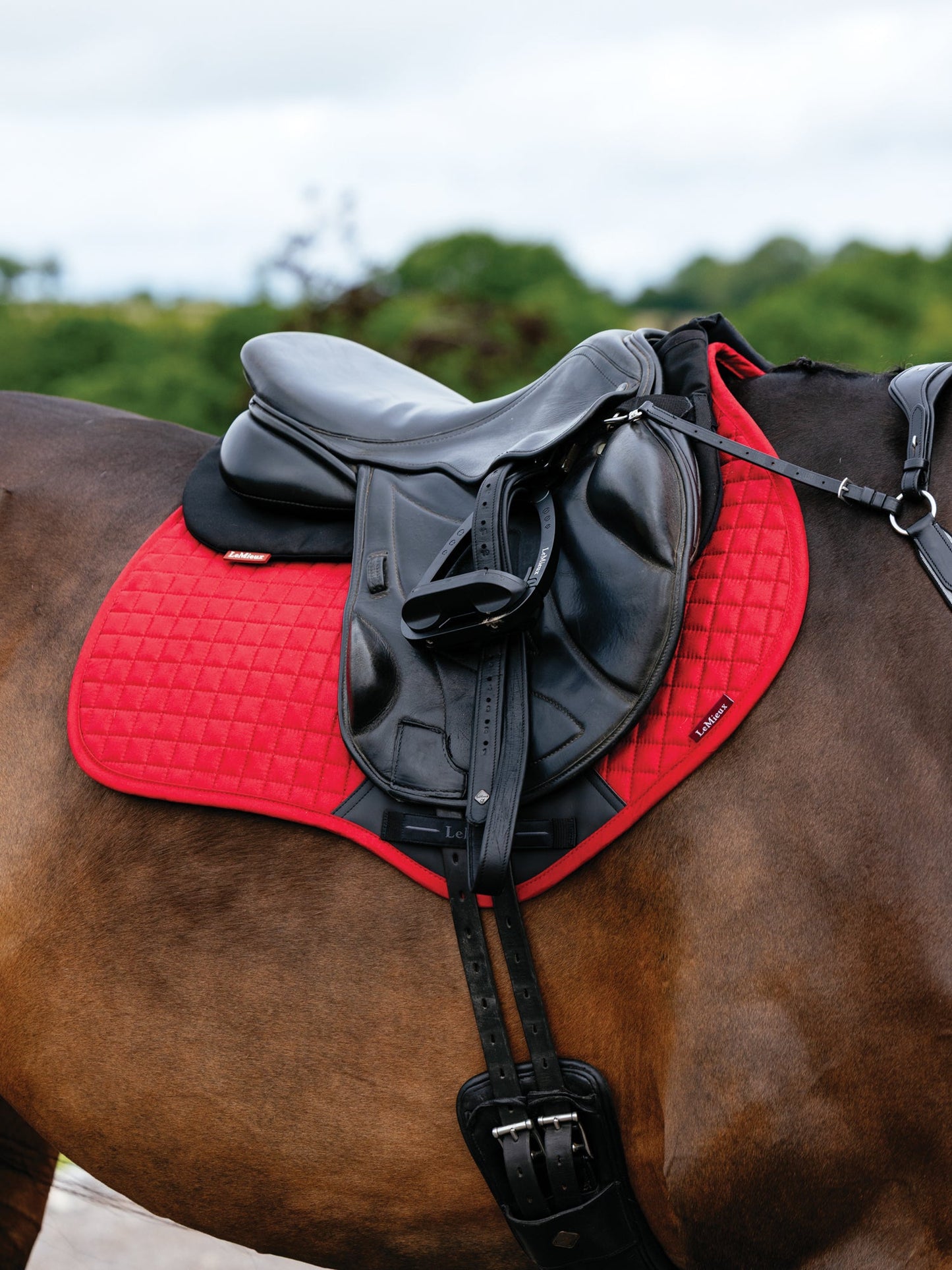 LeMieux Suede Close Contact Saddle Pad