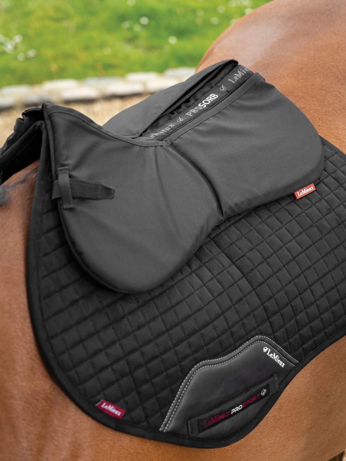 LeMieux ProSorb Plain 2-Pocket Half Pad
