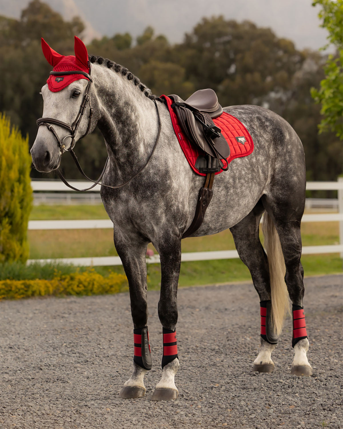 LeMieux Loire GP Saddle Pad