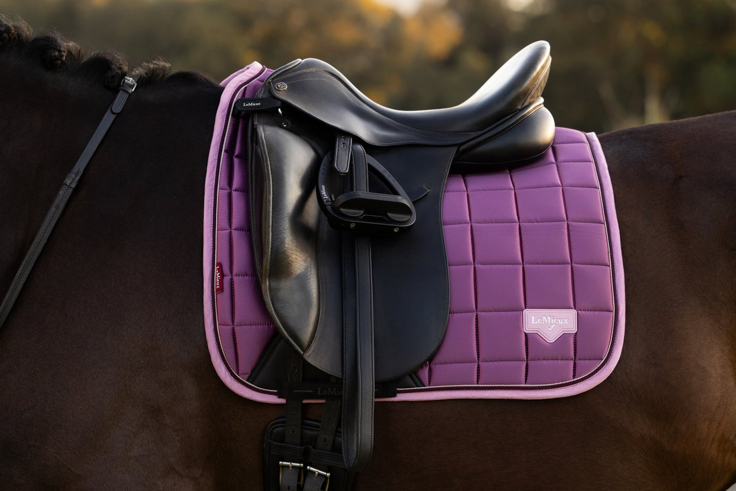 LeMieux Loire Dressage Saddle Pad