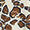 DS Ladies’ Serengeti Long Sleeve Shirt