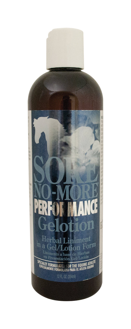 Arenus Sore No-More Performance Gelotion