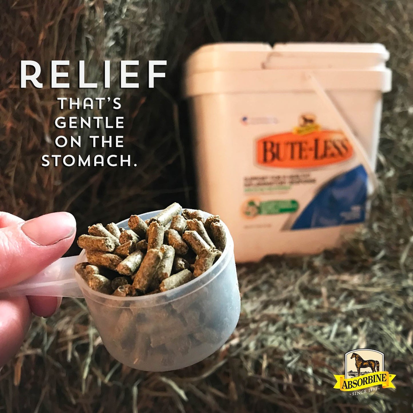 Absorbine Bute-Less Comfort & Recovery Supplement Pellets, 2 Pounds