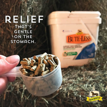 Absorbine Bute-Less Comfort & Recovery Supplement Pellets, 2 Pounds