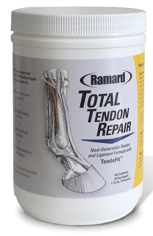 Total Tendon Repair