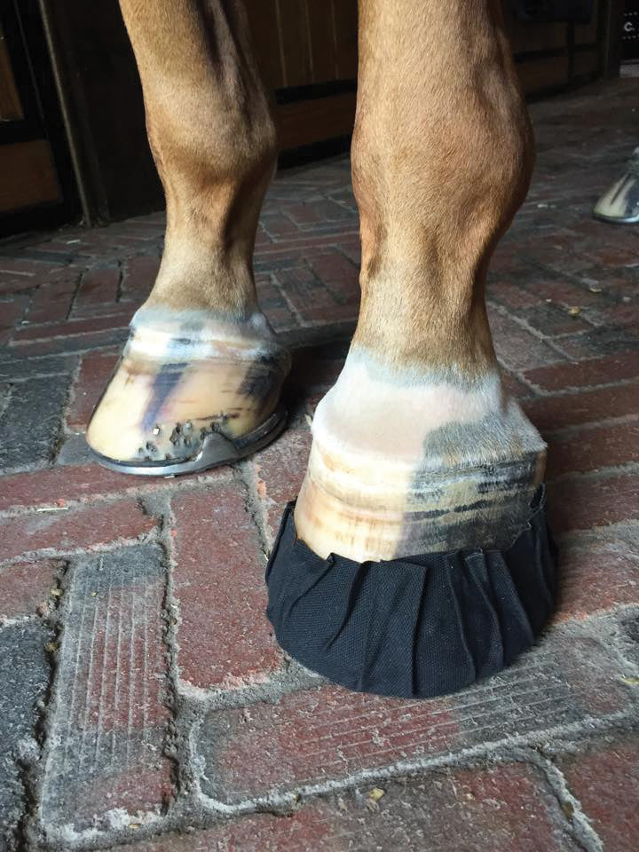 EquiFit Pack-N-Stick HoofTape - 6 pack