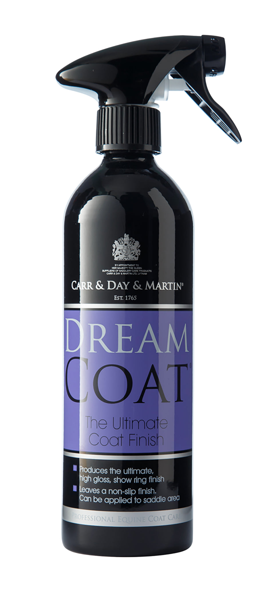 Carr & Day & Martin DreamCoat Shine