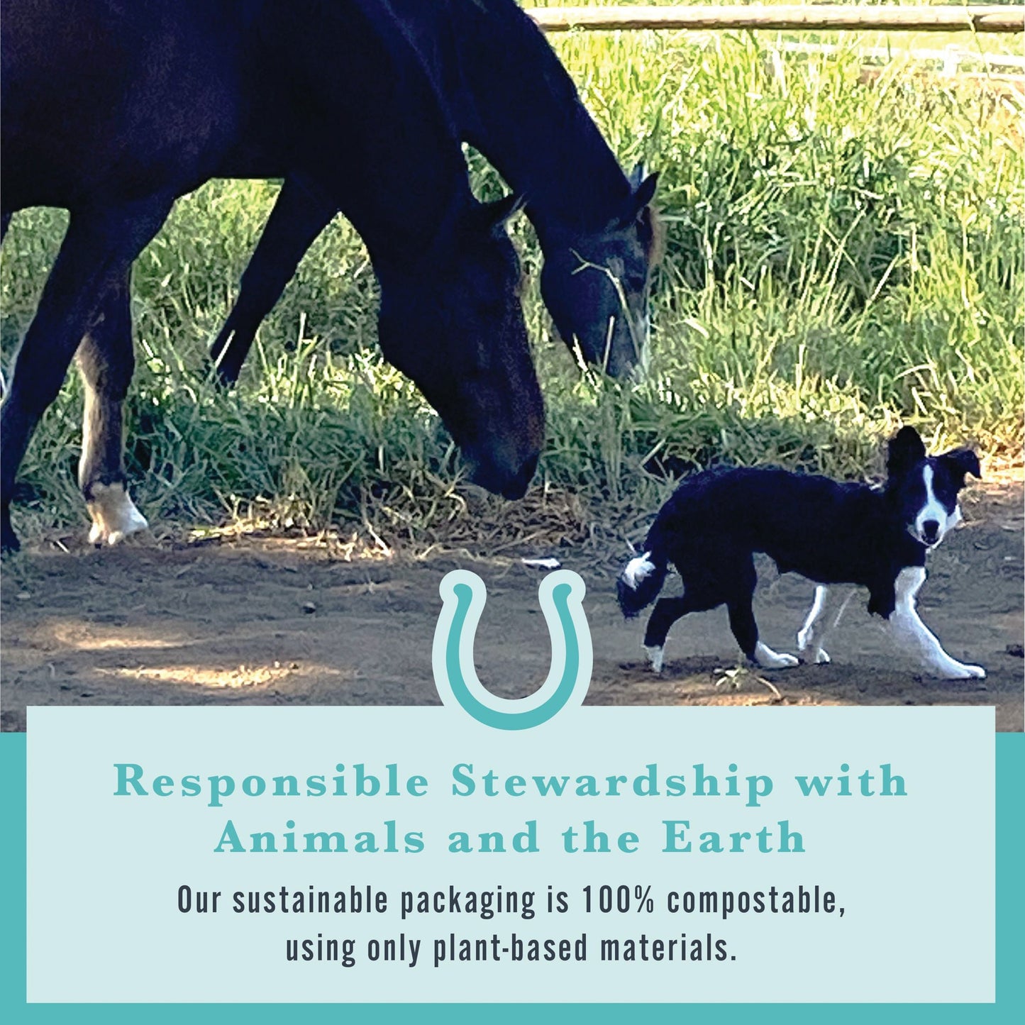 Withers & Withers Sugar-Free Peppermint/Marshmallow Nutra-Treats for Horses