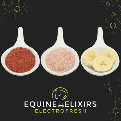 Equine Elixirs Electrofresh