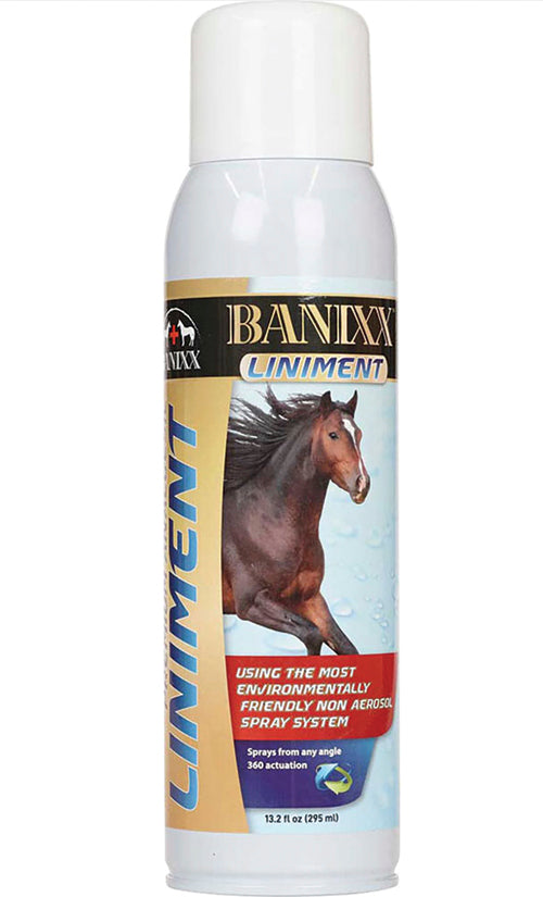 Banixx Liniment Spray