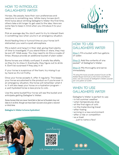 Gallagher’s Water All-Natural Equine Hydration Beverage, 12 Sachets
