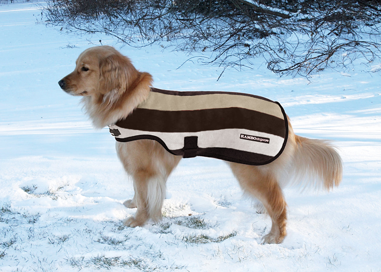 Rambo Deluxe Dog Blanket