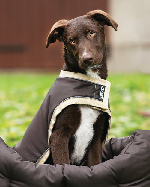 Horseware Ireland Rambo Waterproof Dog Blanket