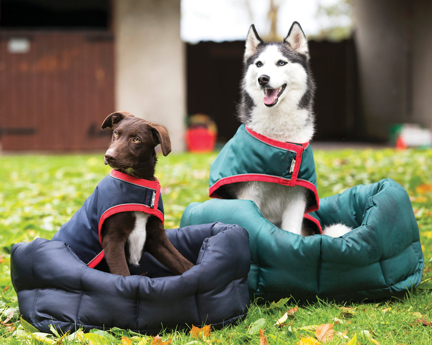 Horseware Ireland Rambo Waterproof Dog Blanket
