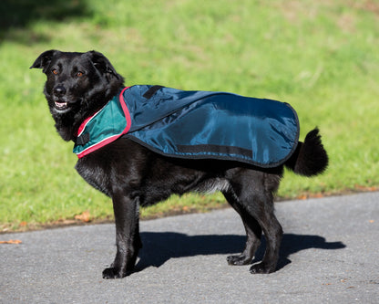 Horseware Ireland Rambo Waterproof Dog Blanket