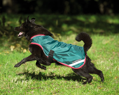 Horseware Ireland Rambo Waterproof Dog Blanket