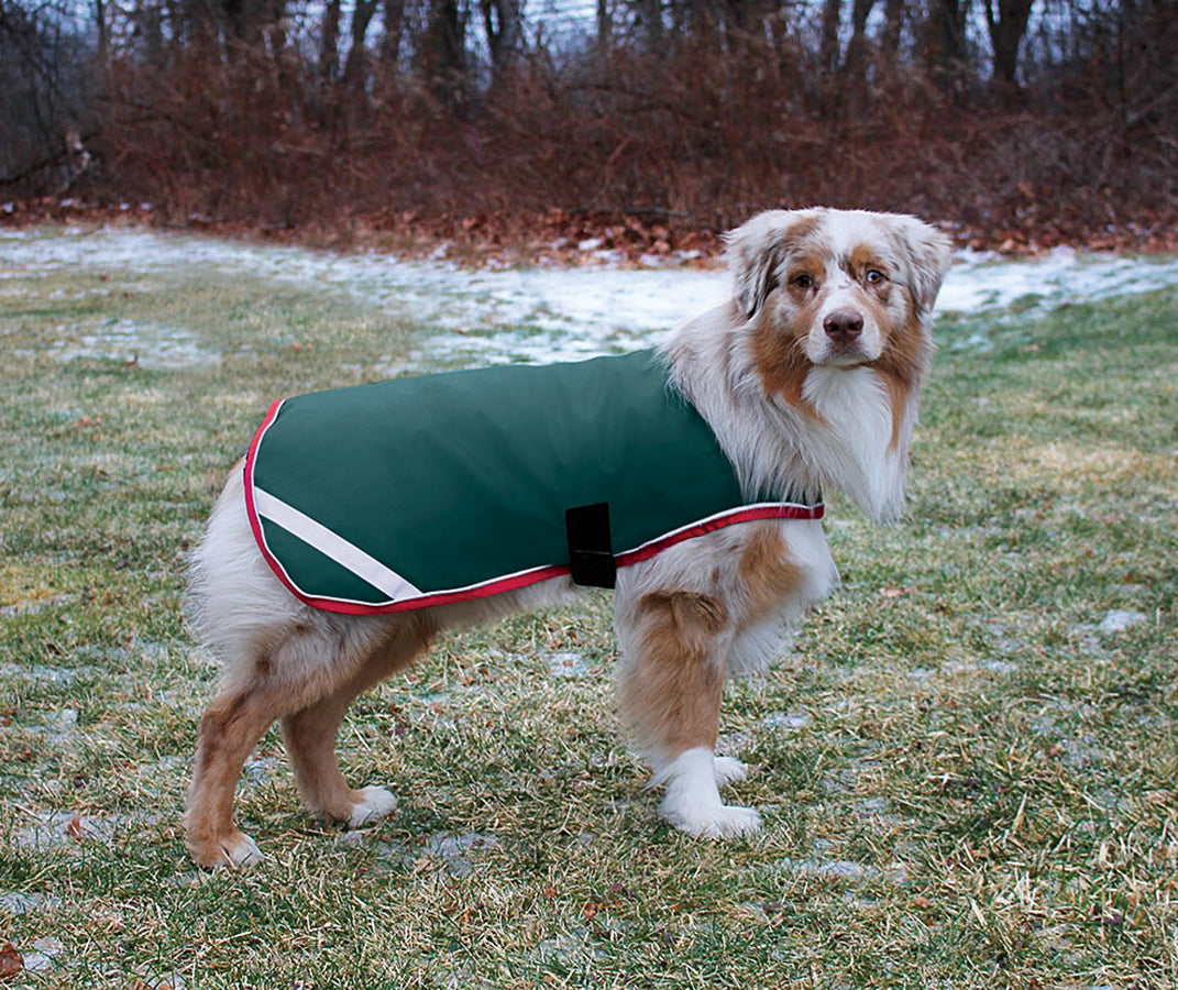 Horseware Ireland Rambo Waterproof Dog Blanket