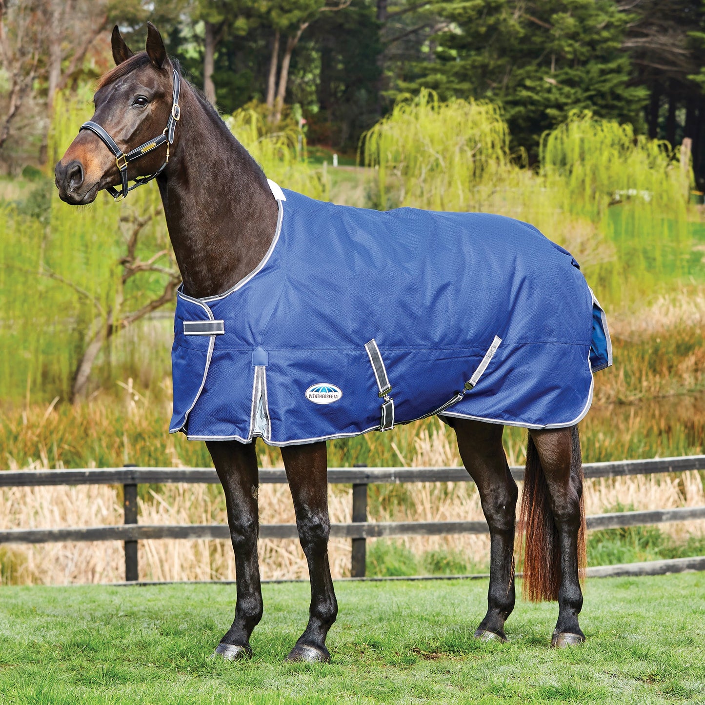 WeatherBeeta ComFiTec Free Standard Neck Medium Weight Turnout Blanket