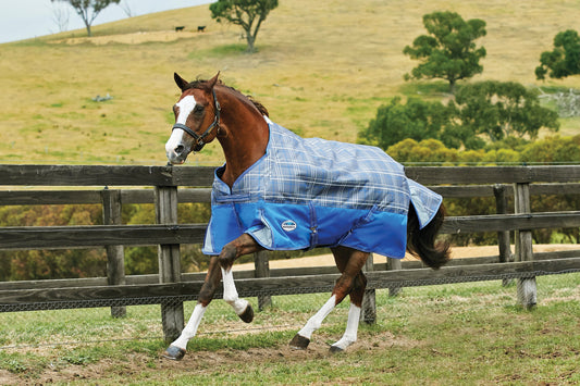 WeatherBeeta ComFiTec Free Standard Neck Medium Weight Turnout Blanket