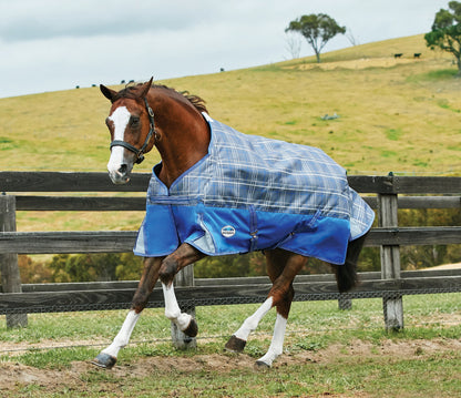 WeatherBeeta Free Standard Neck Turnout Sheet
