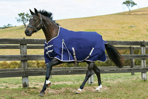 WeatherBeeta ComFiTec Essential Solid Medium Weight Turnout Blanket