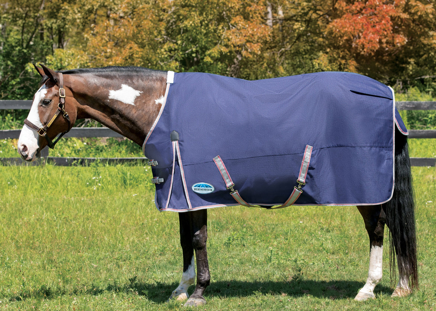 WeatherBeeta ComFiTec Essential Solid Turnout Sheet