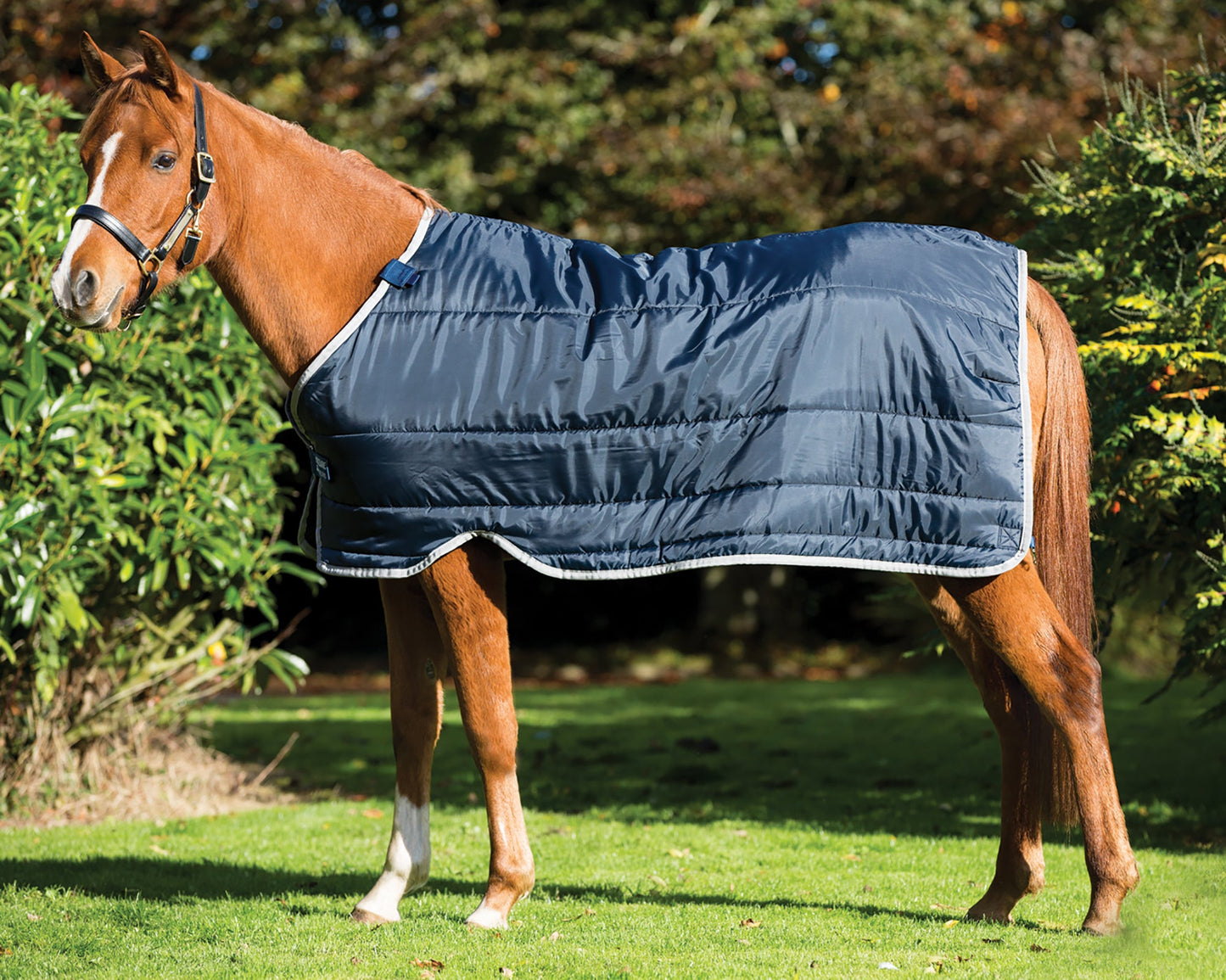 Horseware Ireland 100 Gram Pony Blanket Liner