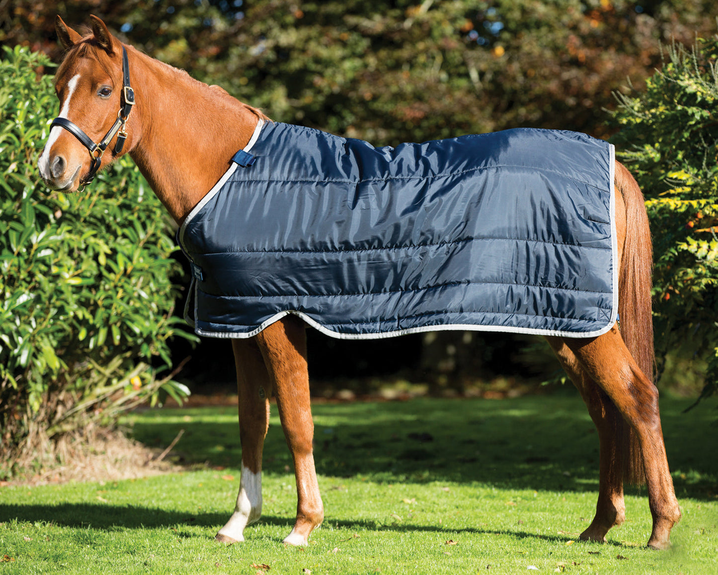 Horseware Ireland 100 Gram Pony Blanket Liner